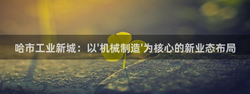 摩根娱乐二三事