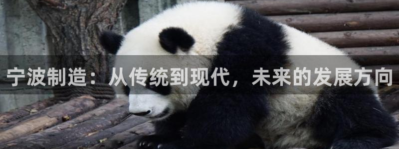 摩根娱乐 F招D商98732