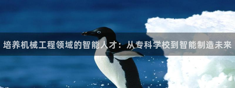 摩根娱乐询问市场总监86738k