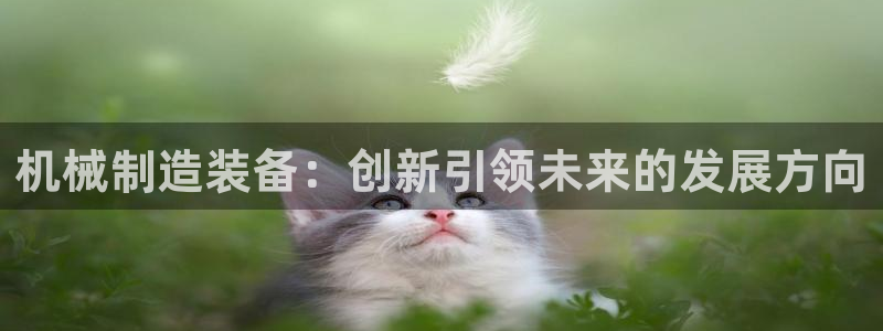 摩根娱乐宝怎么提现