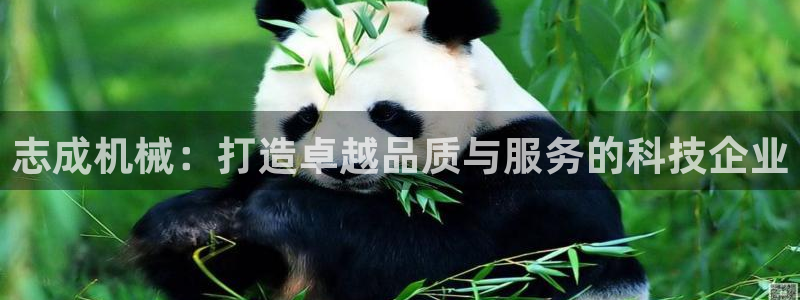 义务摩根娱乐会所电话