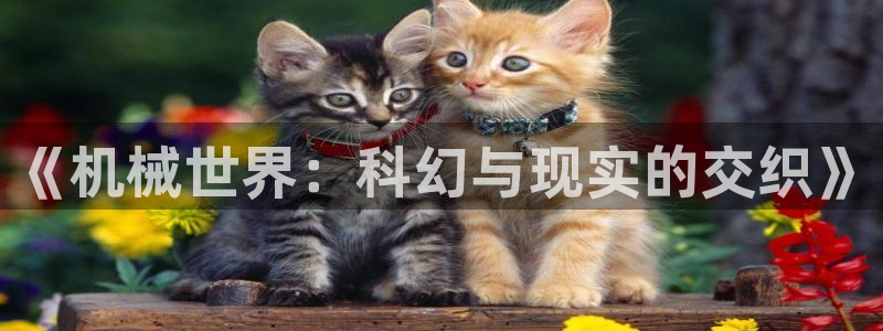 摩根娱乐L老L板50820