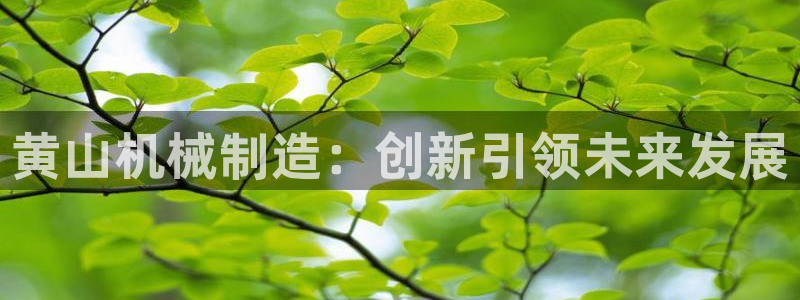 摩根娱乐这个平台怎么样