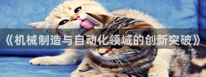 摩根娱乐宝总部
