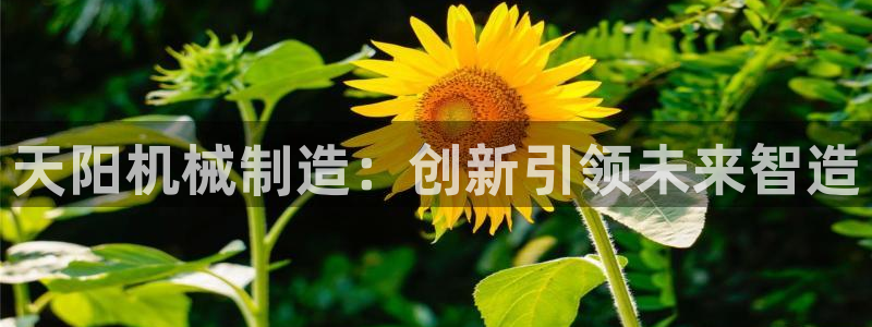 摩根国际娱乐会所