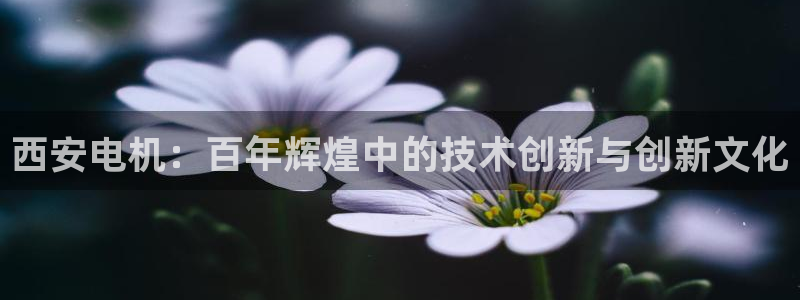 摩根国际娱乐会所电话