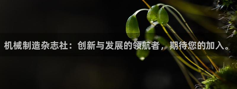 华视娱乐 摩根 王琛