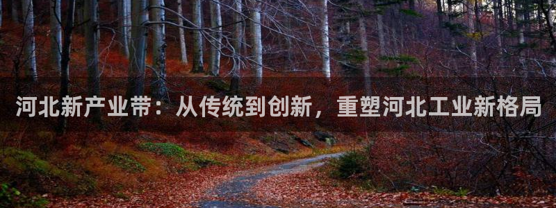 嘉兴摩根大饭店 娱乐