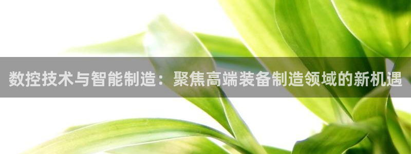 摩根娱乐宝官网