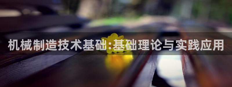 摩根娱乐宝老上不去啊