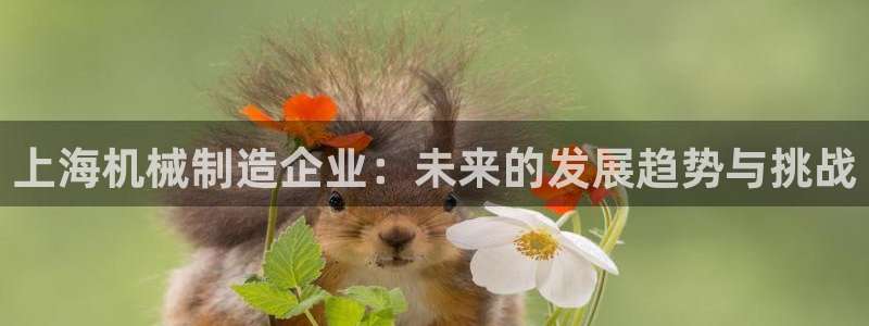 摩根娱乐文化有限公司