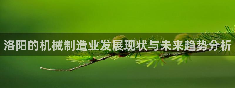 摩根大通会员买金沙娱乐