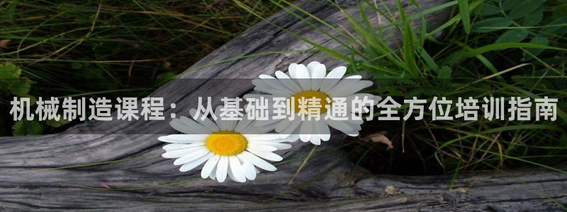 摩根娱乐平台