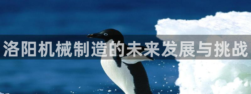 摩根娱乐宝注册