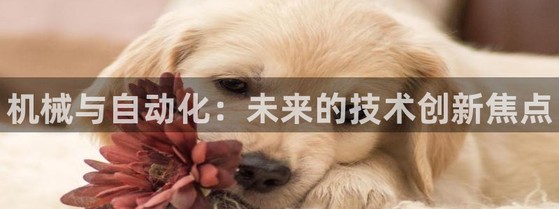 摩根娱乐注册账号