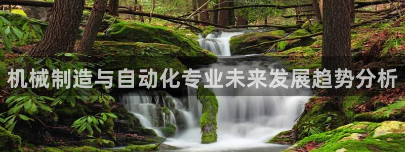 摩根娱乐登录入口网站