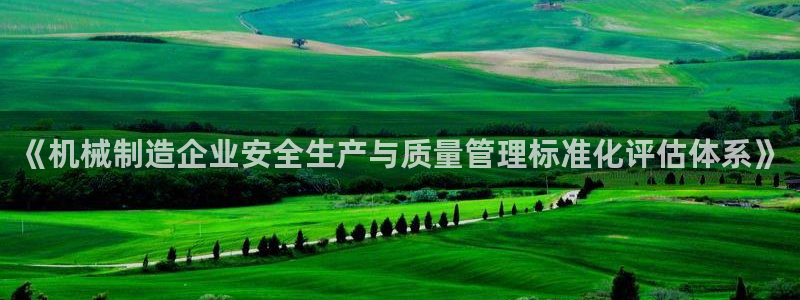 摩根士丹利凯撒娱乐