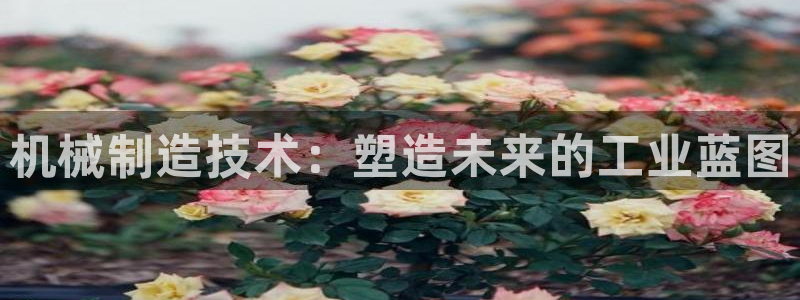 摩根娱乐宝骗局