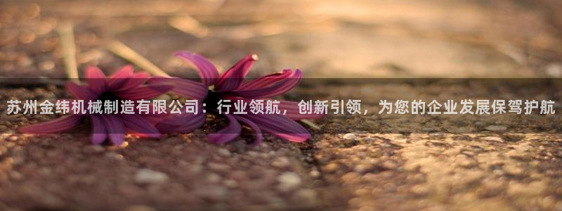 济宁摩根国际娱乐