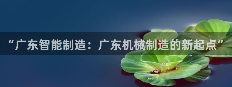 泉州摩根会娱乐