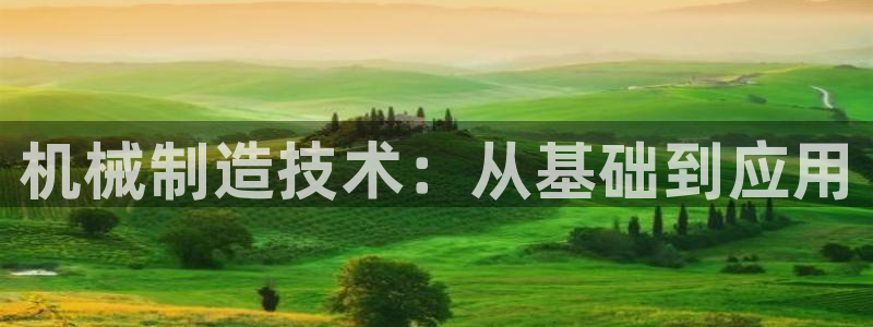 摩根娱乐公会创始人