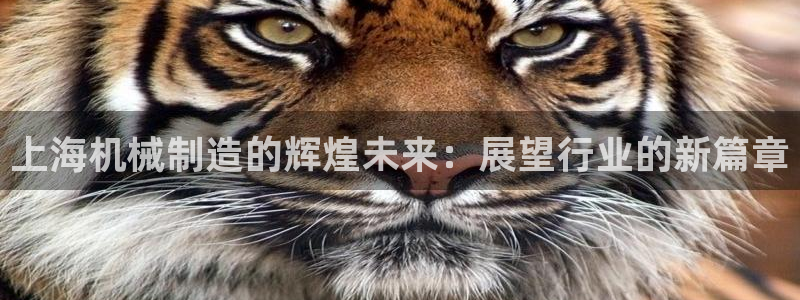 摩根娱乐包是什么