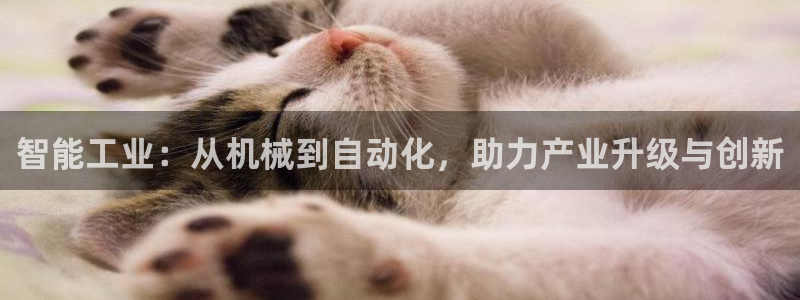 义务摩根娱乐会所电话