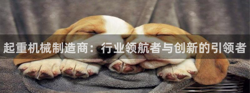 摩根娱乐宝怎么赚钱