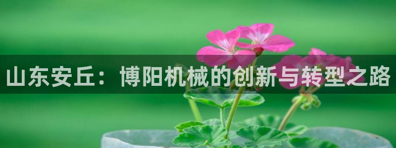 泉州摩根会娱乐场所