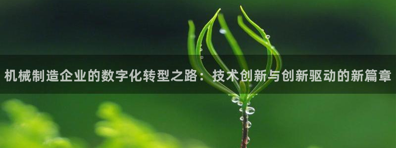 泉州摩根会娱乐张桂花