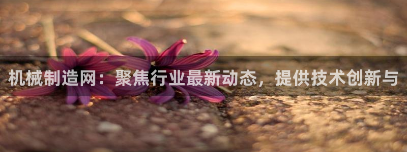 摩根娱乐 股s东50015