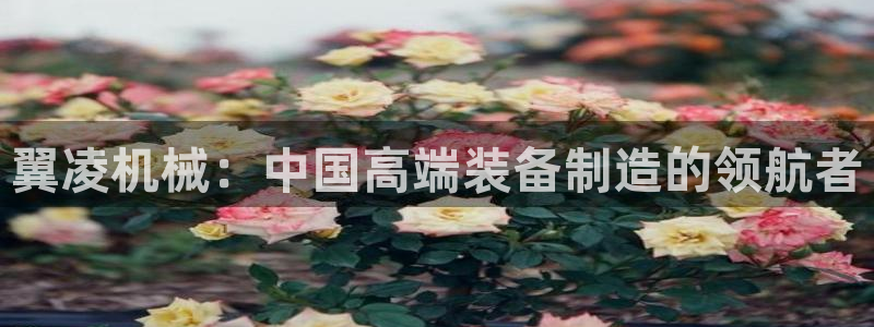 摩根娱乐宝被骗怎么办