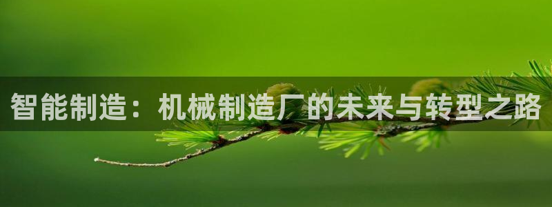 摩根娱乐宝。知道吗