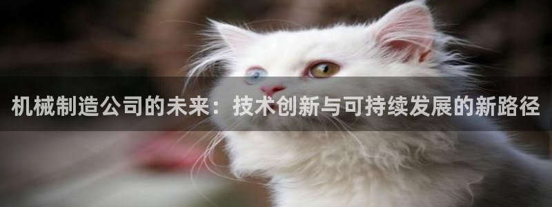 摩根娱乐宝是骗人的的吗