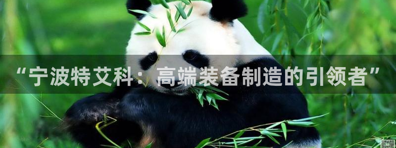 下载摩根娱乐宝