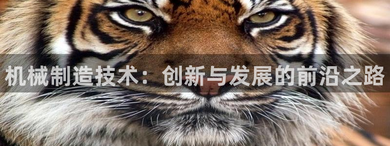 义乌摩根娱乐会所地址