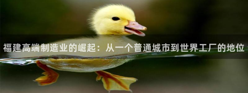 济宁摩根国际娱乐