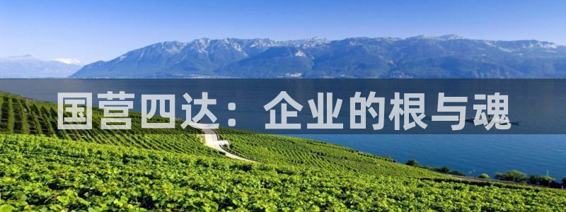 福建泉州白宫摩根会娱乐