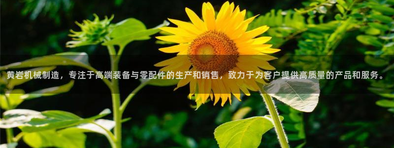 摩根娱乐宝骗了我