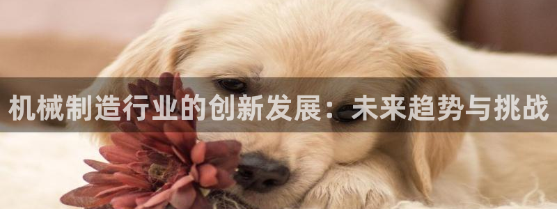 摩根娱乐宝秒单