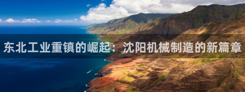 摩根娱乐 实c力77310