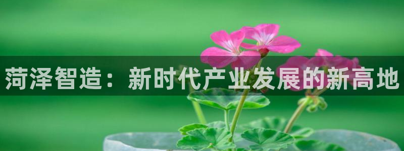 摩根会娱乐有限公司