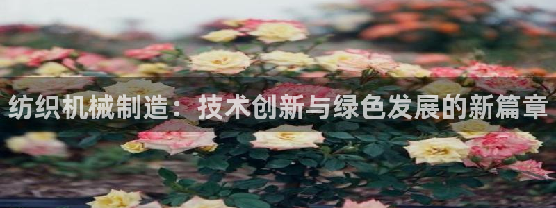 摩根娱乐二三事