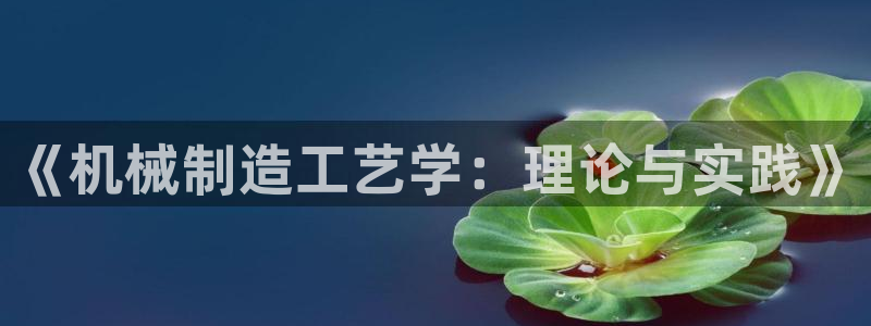 泉州摩根会娱乐张桂花