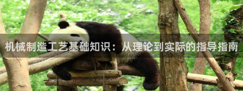摩根时代资阳娱乐场所
