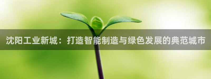 摩根娱乐平台云挂机安全吗