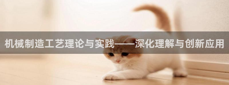摩根娱乐挂机项目怎么样