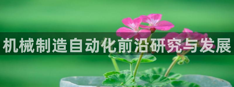 华视娱乐摩根王琛