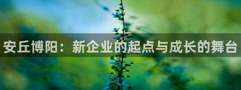 摩根娱乐 实c力77310