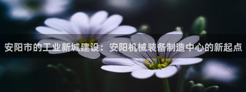摩根娱乐云挂机项目